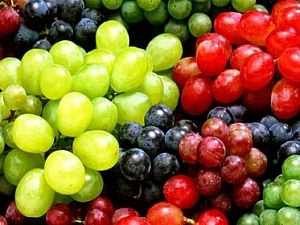 16 лучших сортов винограда для Подмосковья