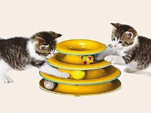 10 лучших игрушек для кошек