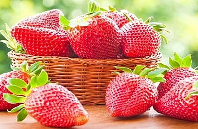 10 лучших сортов клубники для Сибири