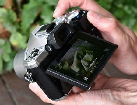 10 лучших полнокадровых фотоаппаратов 2020 года