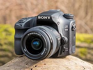 Лучший фотоаппарат для новичка — Nikon D5200, Canon 650D или Sony A68?
