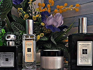 10 лучших духов бренда Jo Malone