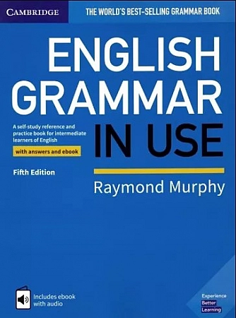 English grammar in use Книга