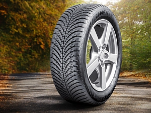 10 лучших шин GoodYear